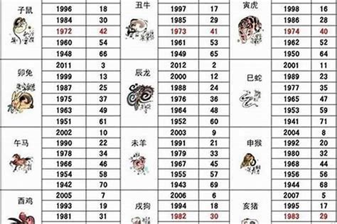 生肖狗幸运颜色|2024年属狗运势及运程详解 2024属狗人全年12个月运。